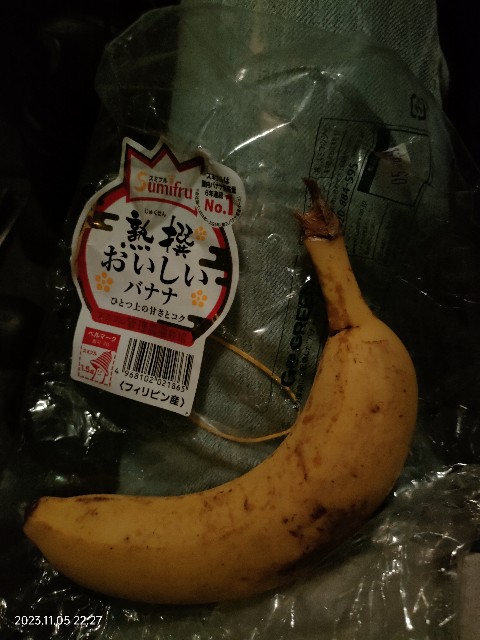 f:id:k-emu:20231106220935j:image