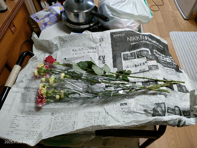 f:id:k-emu:20231107232344j:image