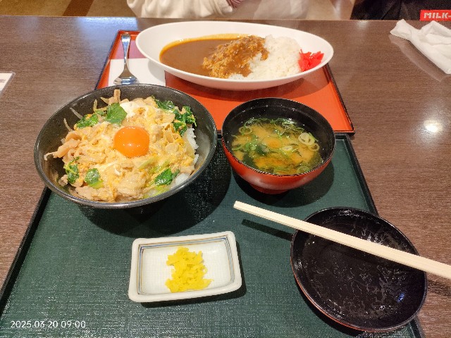 f:id:k-emu:20250321224432j:image