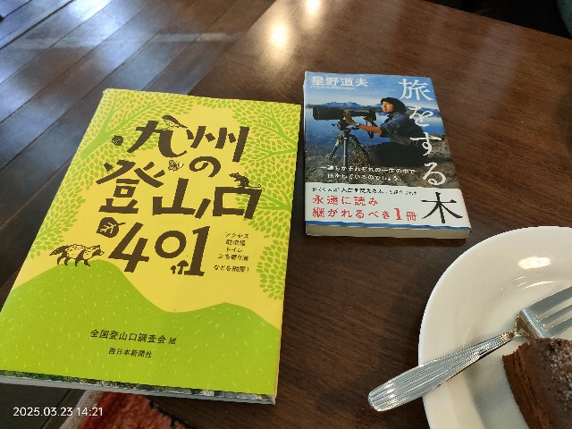 f:id:k-emu:20250323235352j:image