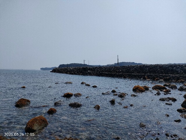 f:id:k-emu:20250326234204j:image