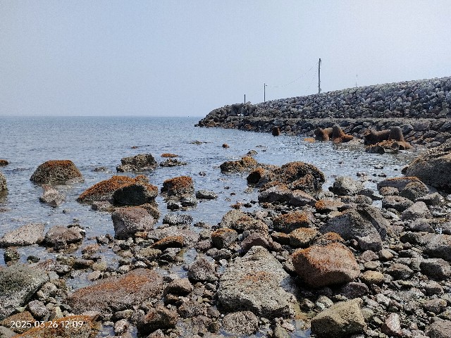 f:id:k-emu:20250326234307j:image