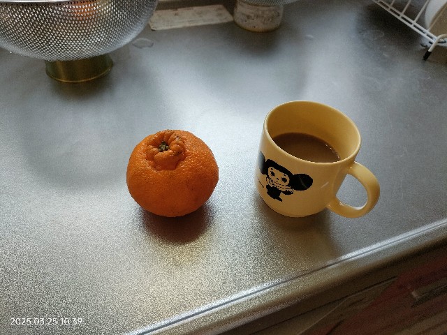 f:id:k-emu:20250326234946j:image