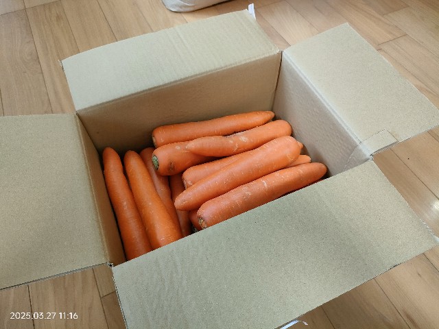f:id:k-emu:20250328210650j:image
