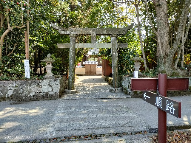 f:id:k-emu:20250330013254j:image