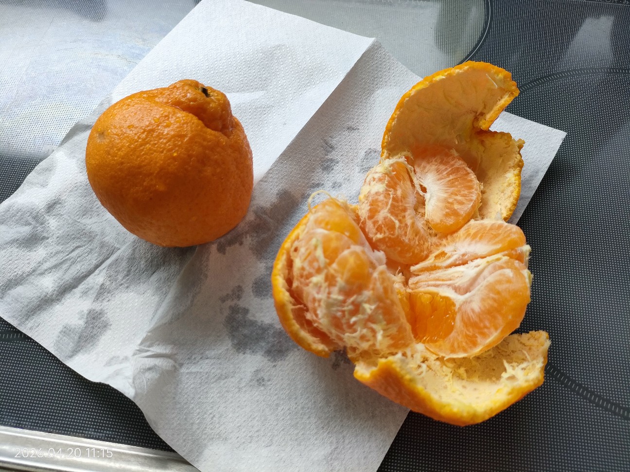 f:id:k-emu:20260421222543j:image