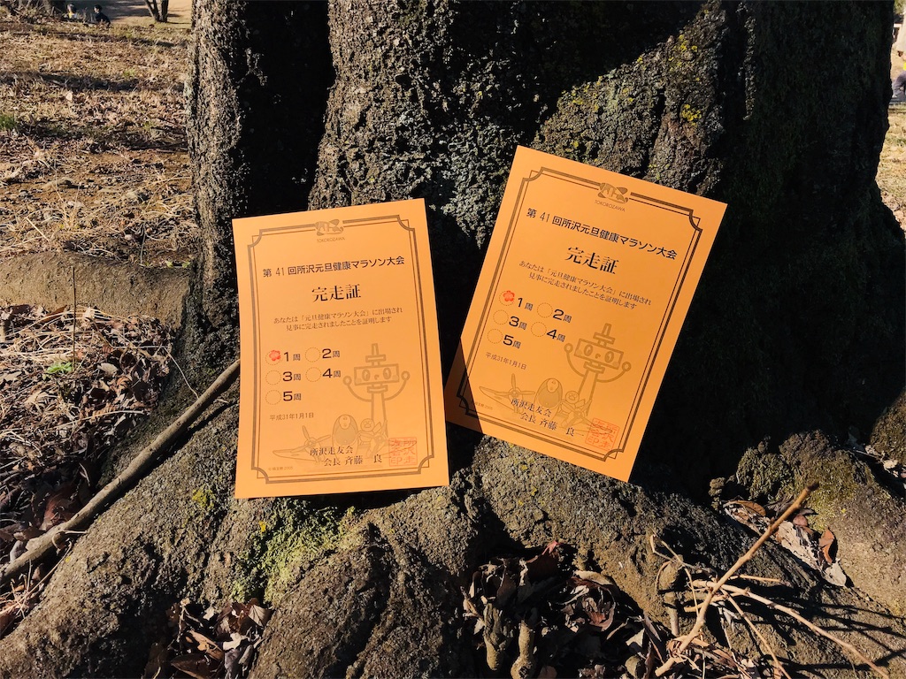 f:id:k-est:20190103154217j:image