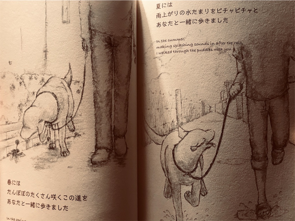 読書 涙がホロリ ある犬のおはなし A Story Of A Dog Aな暮らし 読書 涙がホロリ ある犬のおはなし A Story Of A Dog Aな暮らし