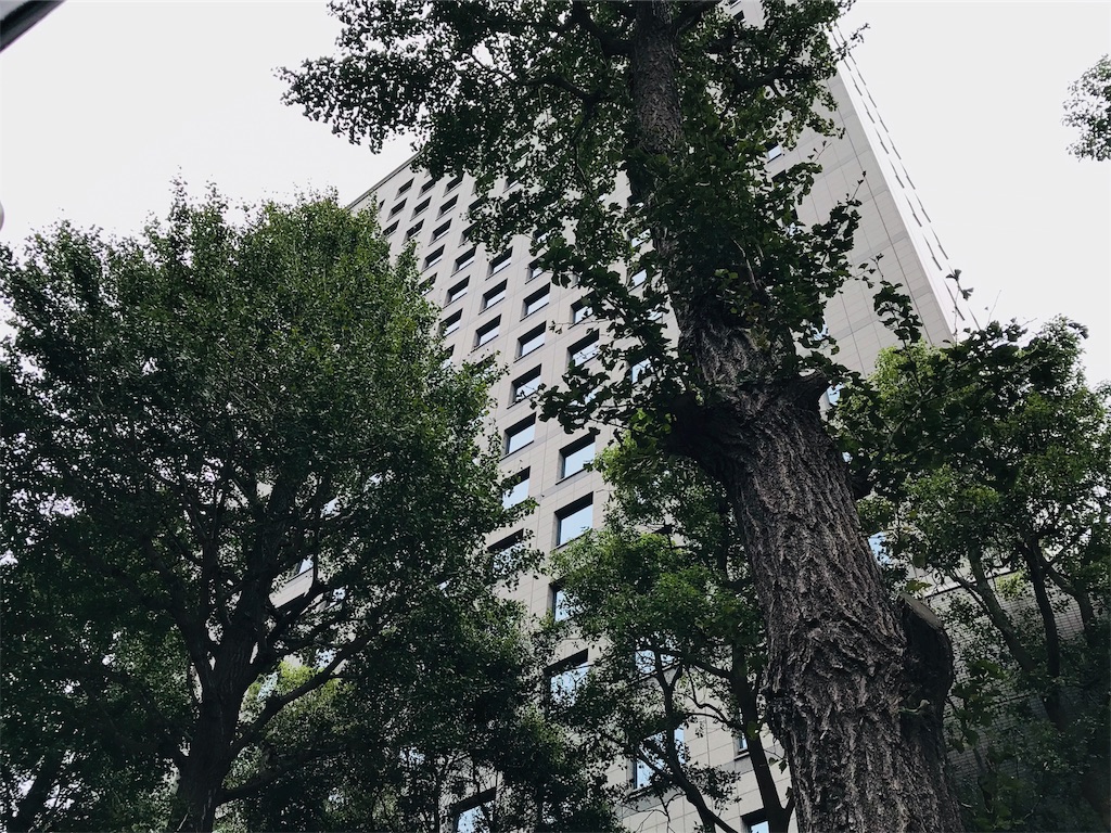 f:id:k-est:20191018172647j:image