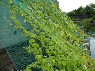 f:id:k-heidi:20120720110040j:image:right