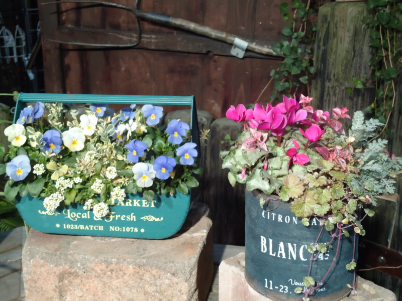 f:id:k-heidi:20161230045142j:image:w360:left