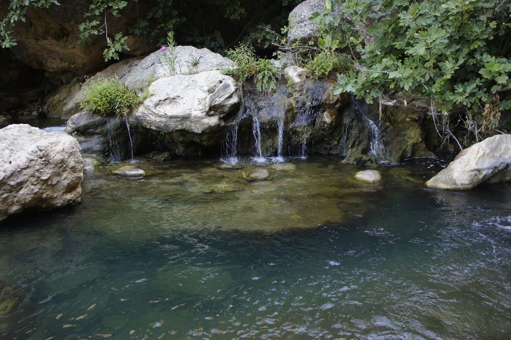 f:id:k-heki:20190215132515j:plain