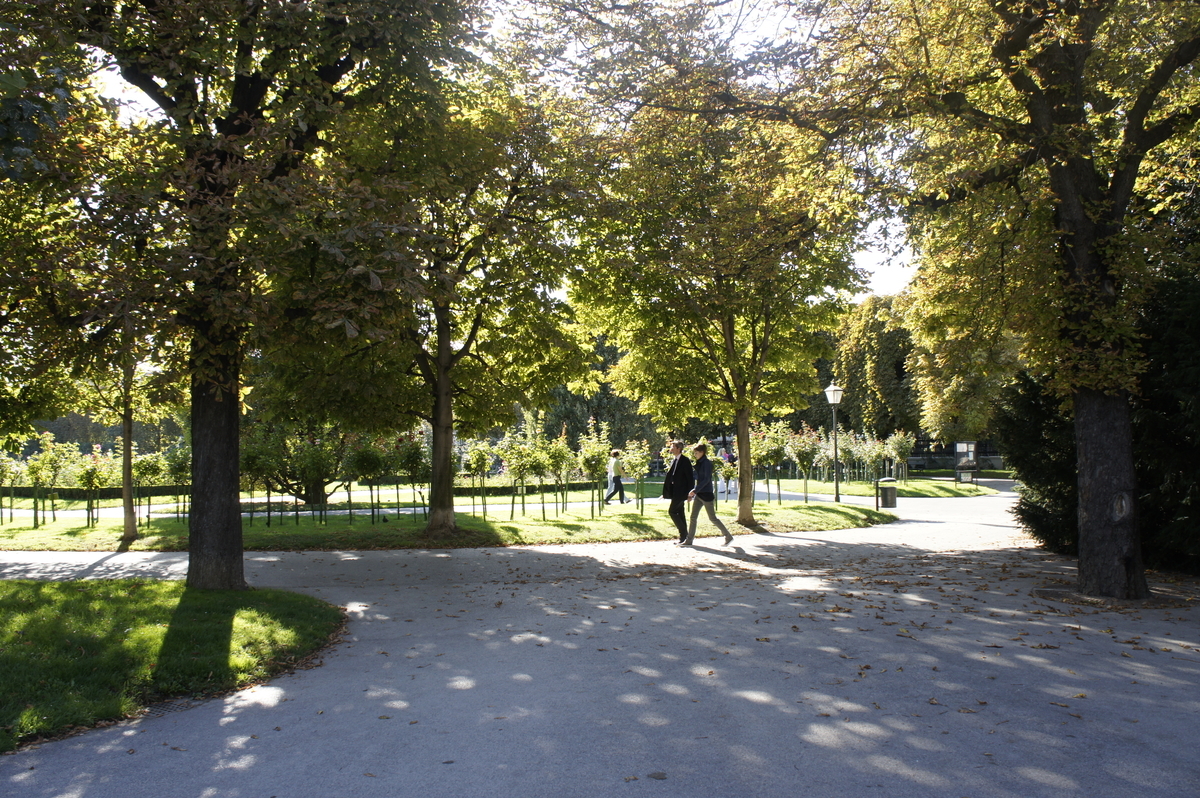 f:id:k-heki:20190526144920j:plain f:id:k-heki:20190526144920j:plain