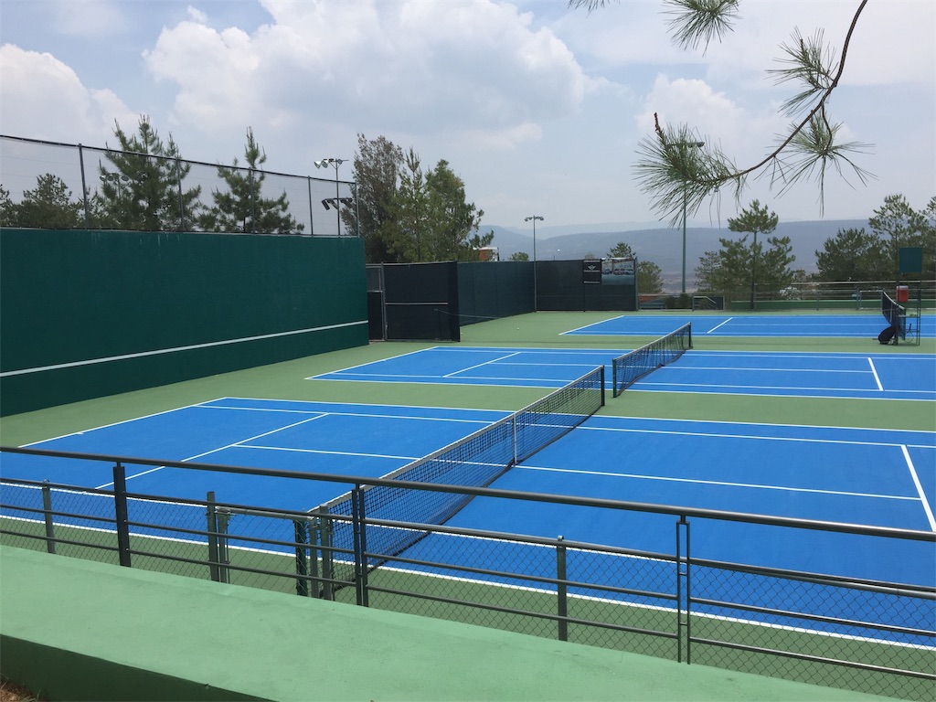 f:id:k-heki:20190614061742j:image