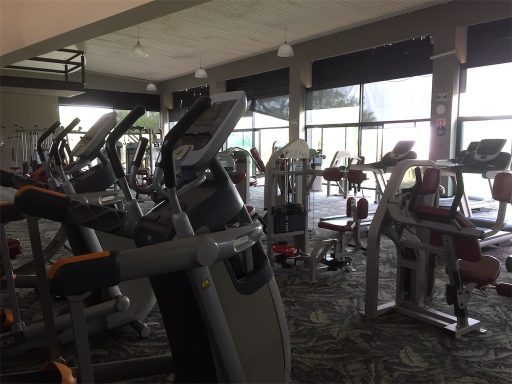 f:id:k-heki:20190614062032j:image