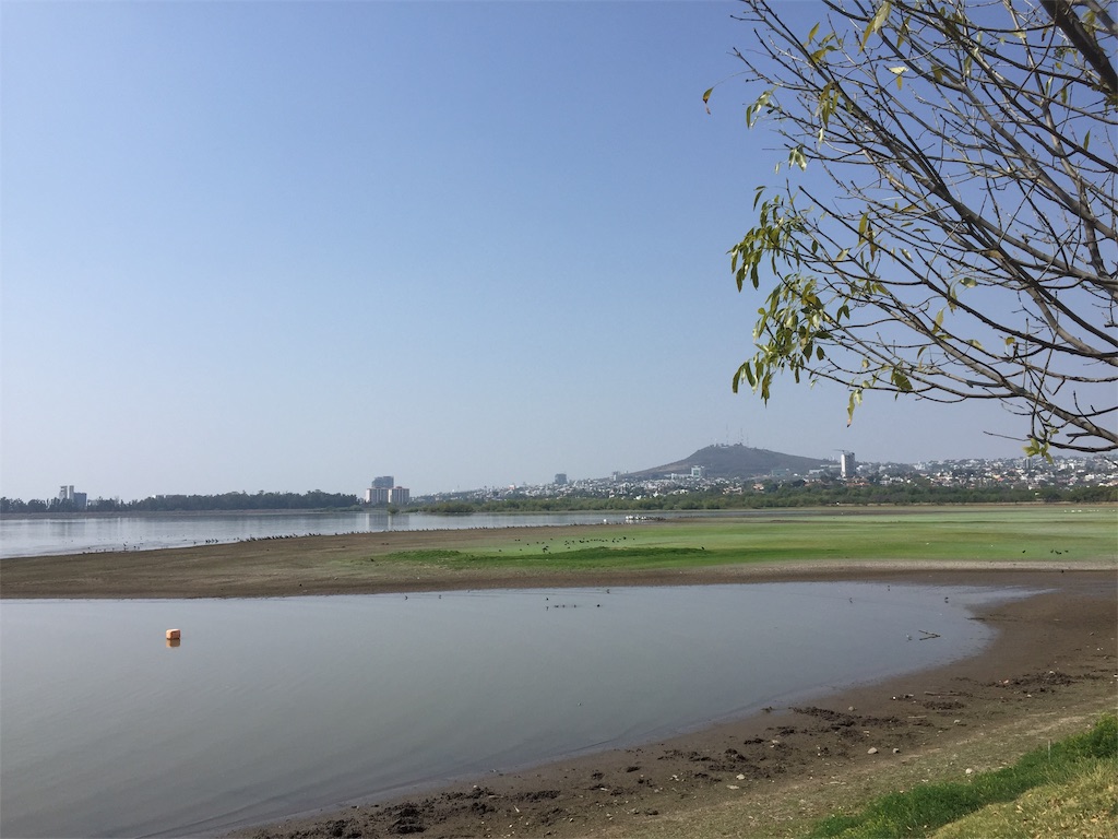 f:id:k-heki:20200323094546j:plain f:id:k-heki:20200323094546j:plain