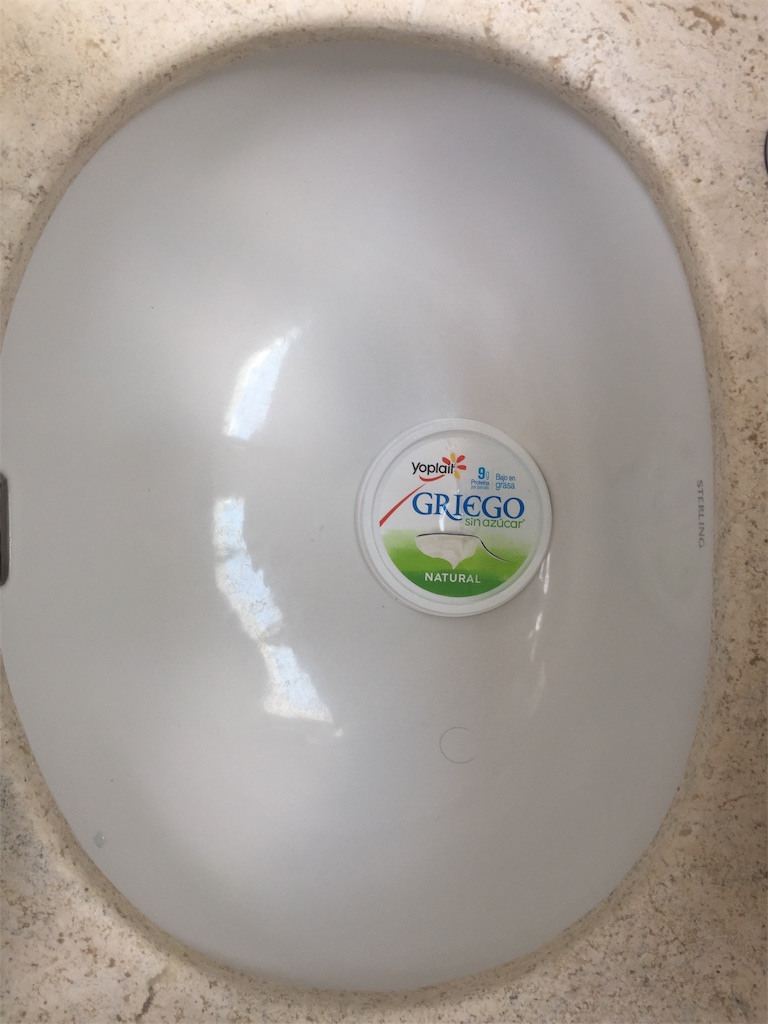 メキシコでの害虫駆除と対策 蟻や油虫から家を守る すみくにぼちぼち日記