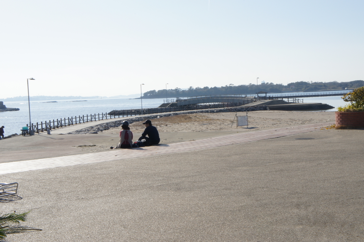 佐久島 観光