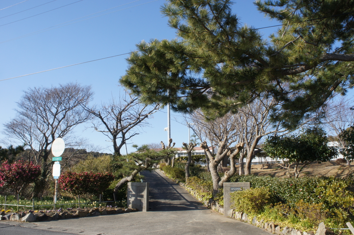 佐久島 観光