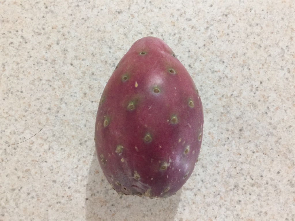 トゥナ メキシコの食べるサボテンフルーツ すみくにぼちぼち日記