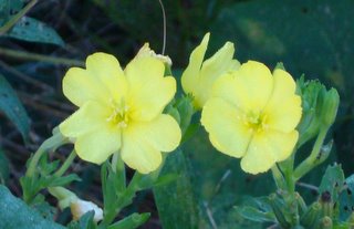 f:id:k-hisatune:20100926064630j:image