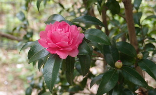 f:id:k-hisatune:20111021074241j:image f:id:k-hisatune:20111021074241j:image