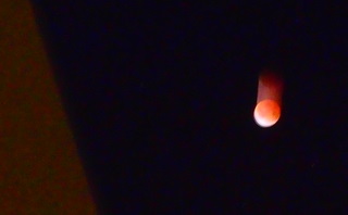 f:id:k-hisatune:20111210234923j:image f:id:k-hisatune:20111210234923j:image