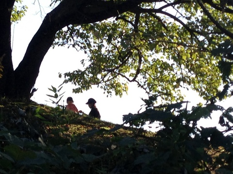 f:id:k-hisatune:20121021142533j:image