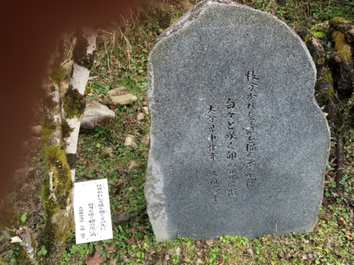 f:id:k-hisatune:20151225111128j:image