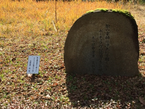 f:id:k-hisatune:20151225112429j:image