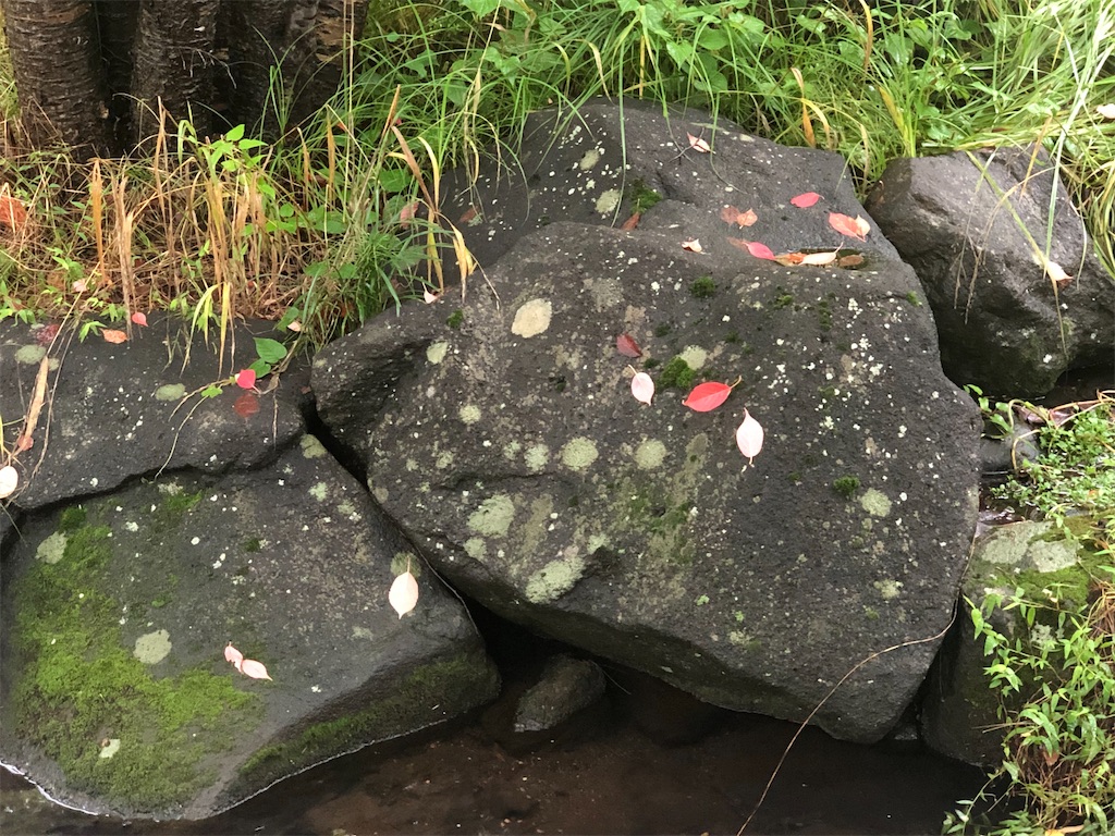 f:id:k-hisatune:20210706060900j:image f:id:k-hisatune:20210706060900j:image