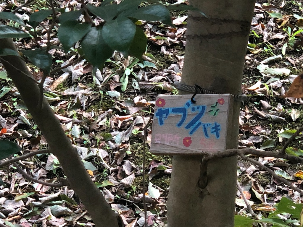 f:id:k-hisatune:20210916090039j:image f:id:k-hisatune:20210916090039j:image