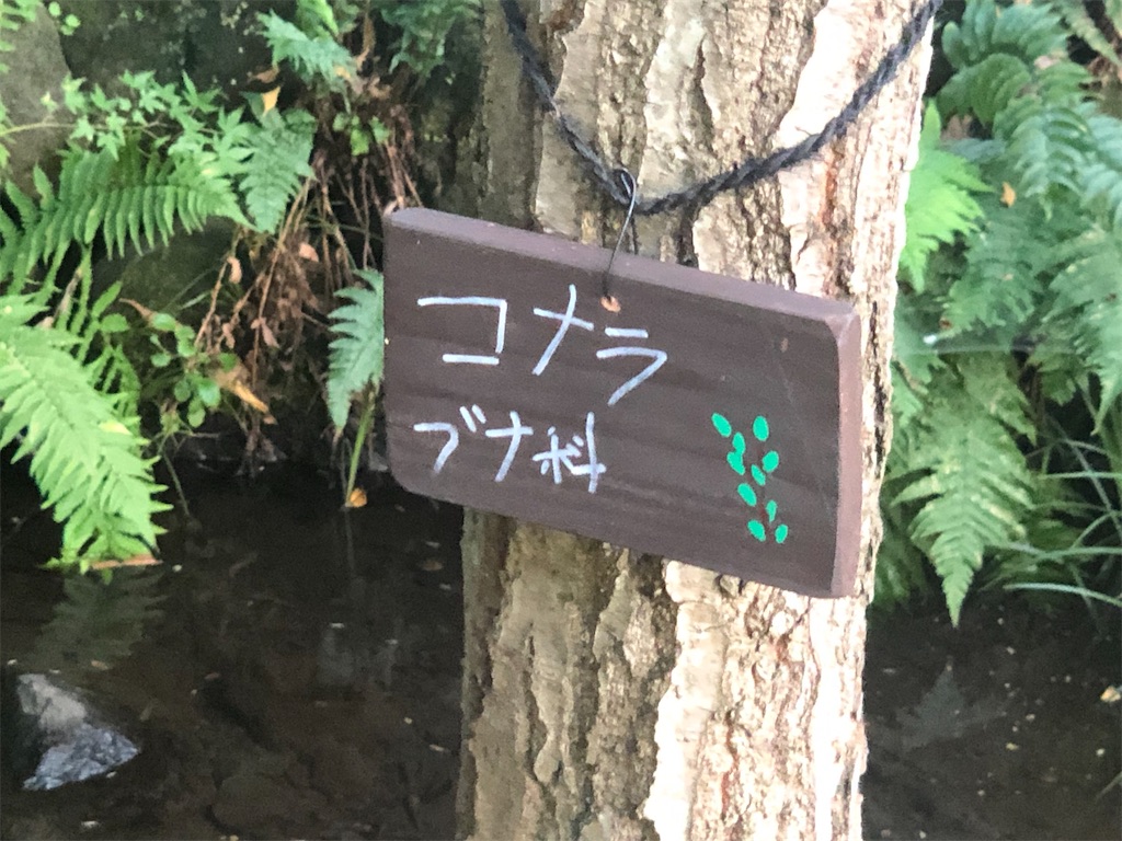 f:id:k-hisatune:20210916090042j:image f:id:k-hisatune:20210916090042j:image