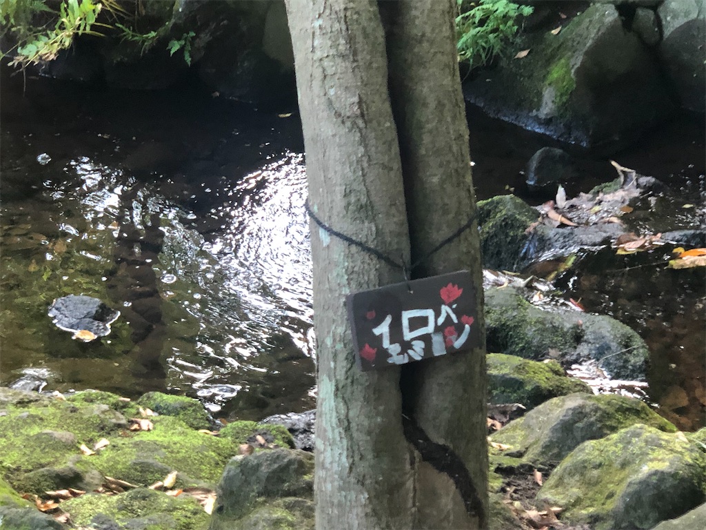 f:id:k-hisatune:20210916090045j:image f:id:k-hisatune:20210916090045j:image