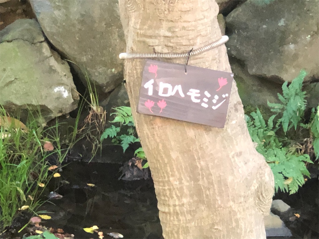 f:id:k-hisatune:20210916090048j:image f:id:k-hisatune:20210916090048j:image