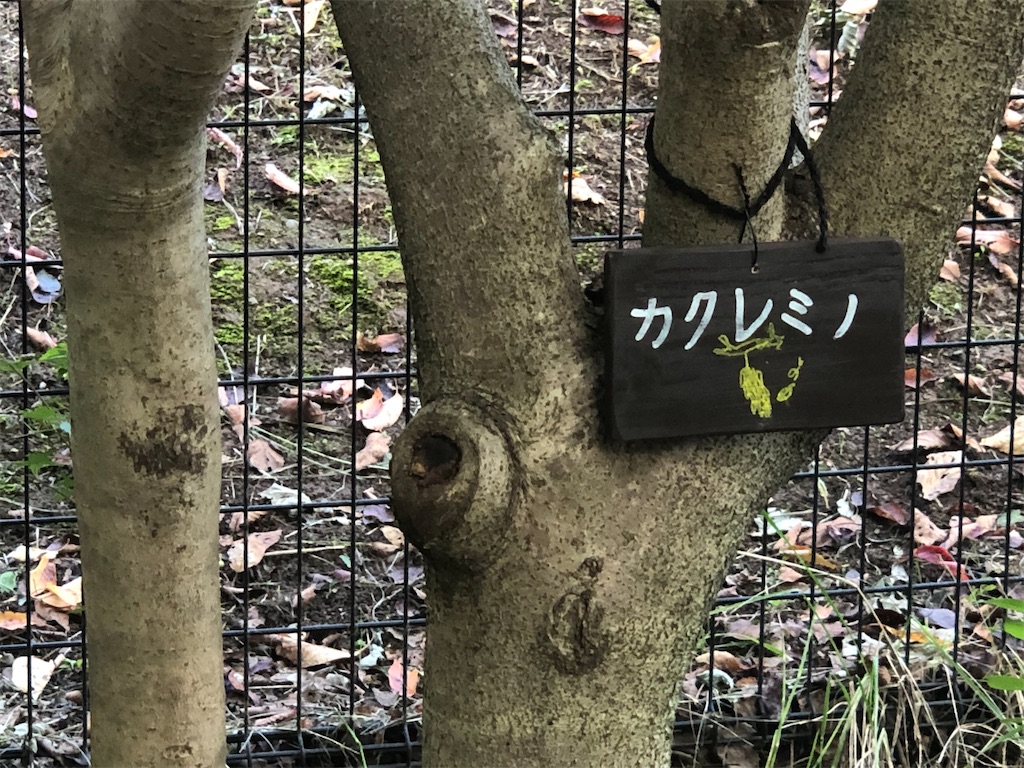 f:id:k-hisatune:20210916090051j:image f:id:k-hisatune:20210916090051j:image