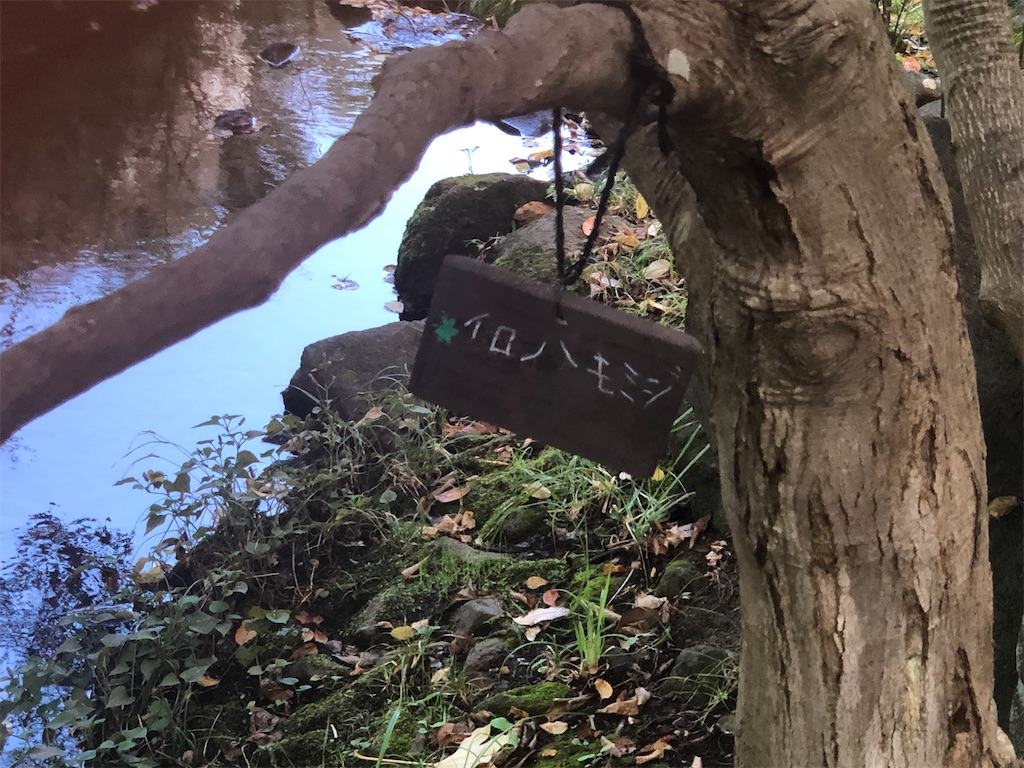 f:id:k-hisatune:20210916090054j:image f:id:k-hisatune:20210916090054j:image