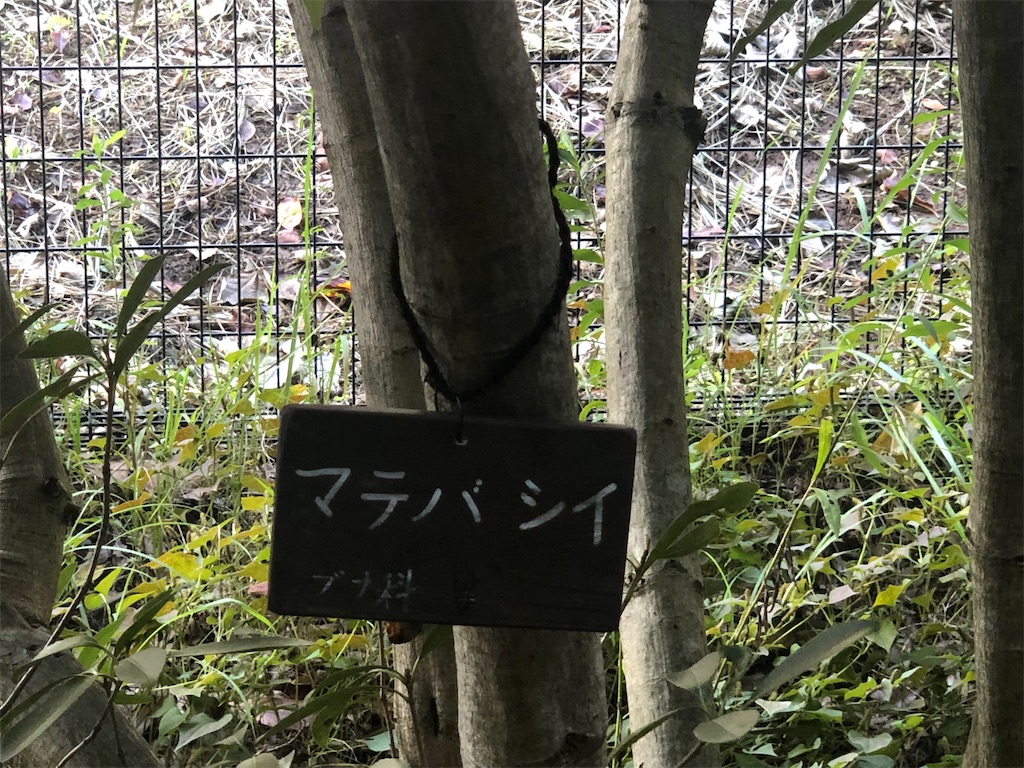 f:id:k-hisatune:20210916090057j:image f:id:k-hisatune:20210916090057j:image