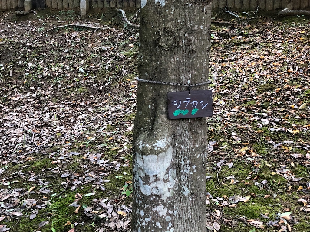 f:id:k-hisatune:20210916090100j:image f:id:k-hisatune:20210916090100j:image