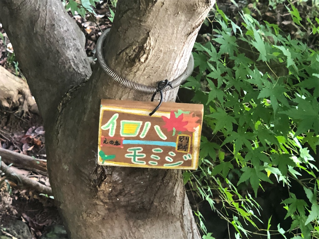 f:id:k-hisatune:20210916090103j:image f:id:k-hisatune:20210916090103j:image