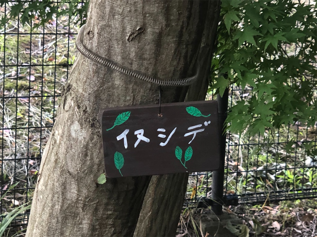 f:id:k-hisatune:20210916090105j:image f:id:k-hisatune:20210916090105j:image