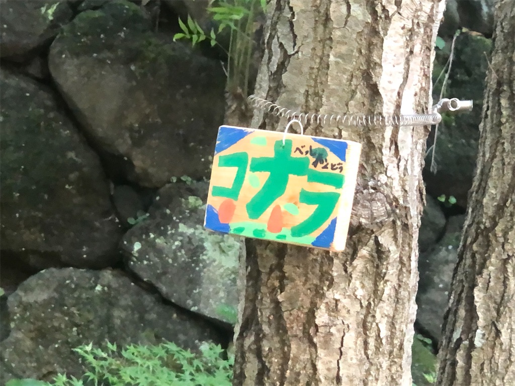 f:id:k-hisatune:20210916090109j:image f:id:k-hisatune:20210916090109j:image