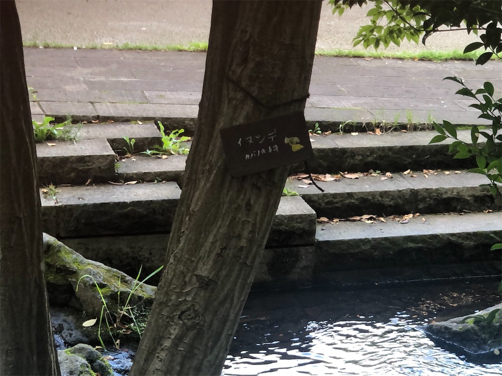 f:id:k-hisatune:20210916090111j:image f:id:k-hisatune:20210916090111j:image