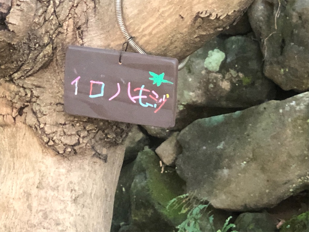 f:id:k-hisatune:20210916090114j:image f:id:k-hisatune:20210916090114j:image