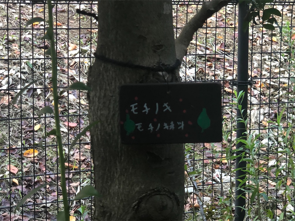 f:id:k-hisatune:20210916090117j:image f:id:k-hisatune:20210916090117j:image