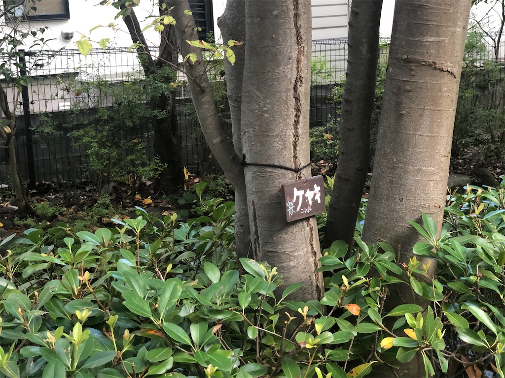 f:id:k-hisatune:20210916090120j:image f:id:k-hisatune:20210916090120j:image