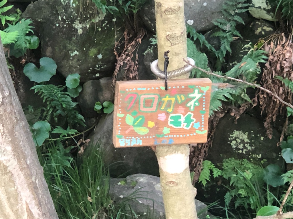 f:id:k-hisatune:20210916090122j:image f:id:k-hisatune:20210916090122j:image