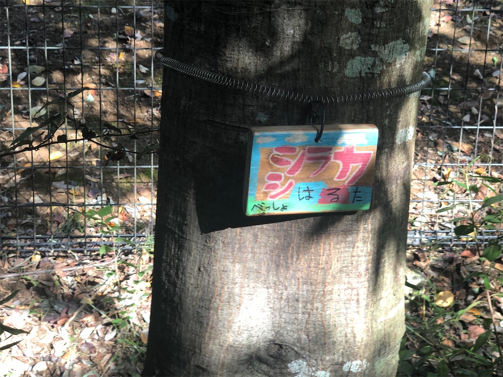 f:id:k-hisatune:20210916090128j:image f:id:k-hisatune:20210916090128j:image