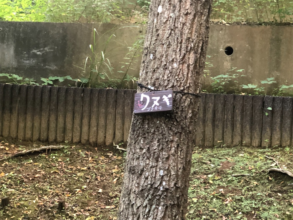 f:id:k-hisatune:20210916090130j:image f:id:k-hisatune:20210916090130j:image