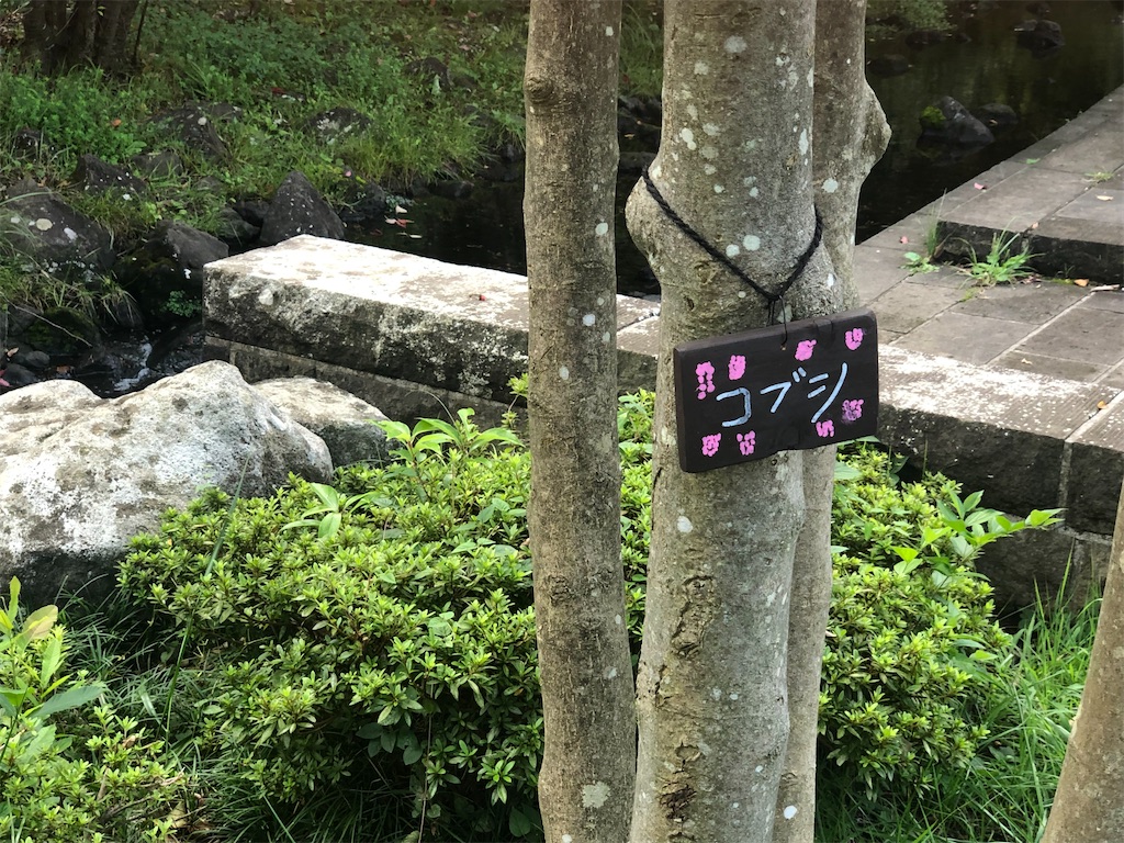 f:id:k-hisatune:20210916090133j:image f:id:k-hisatune:20210916090133j:image